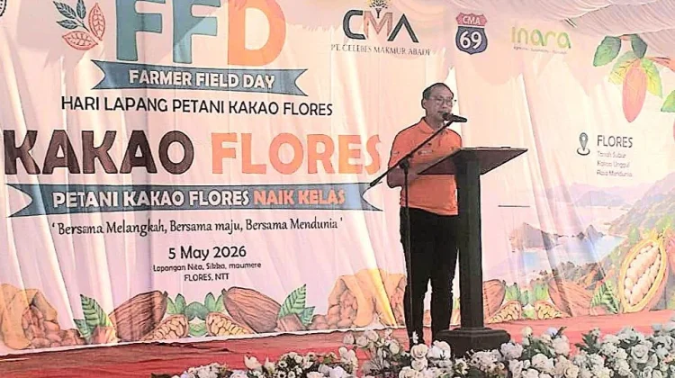 Petani Kakao Flores Didorong Naik Kelas Bersama