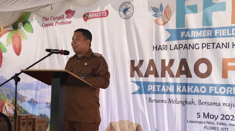 Kuota Kakao Sikka Naik Drastis Tahun 2026