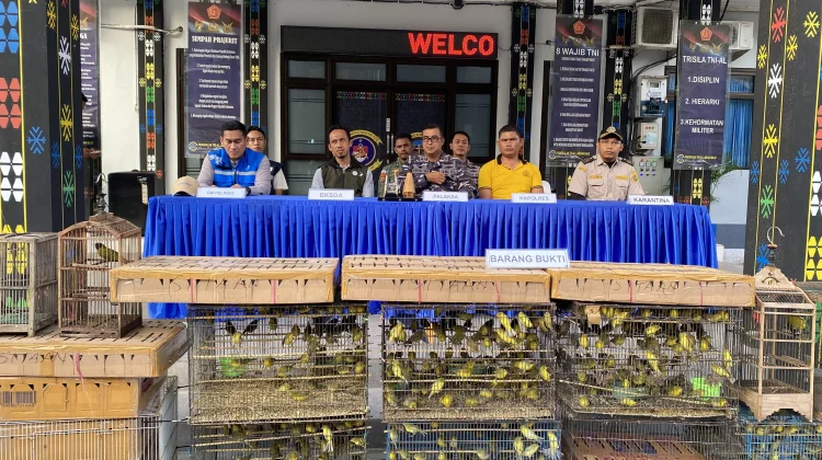 Lanal Labuan Bajo Selamatkan Ribuan Burung Endemik Flores dari Penyelundupan
