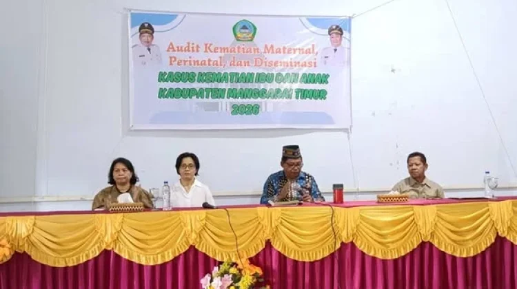 Dinkes Matim Audit Penyebab Kematian Ibu dan Bayi