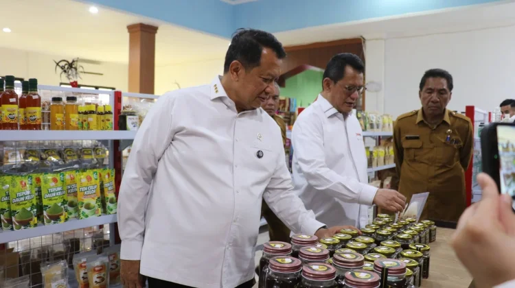 Wamen PANRB Apresiasi Pengembangan UMKM Lokal Melalui Gerai NTT Mart