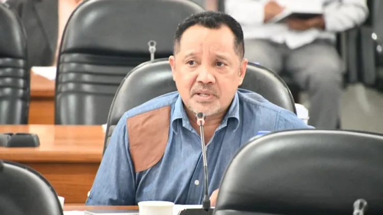 Fraksi Demokrat DPRD Manggarai Soroti Infrastruktur dan Hilirisasi Produk Lokal