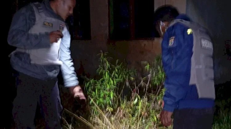 Petani di Tonggur Meninggal usai Tersengat Arus Listrik PLN