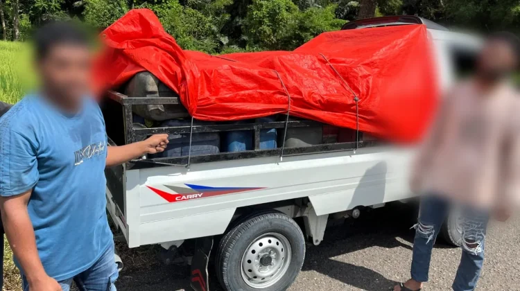 Satreskrim Polres Mabar Gagalkan Penyelundupan 525 Liter Solar Subsidi di Boleng