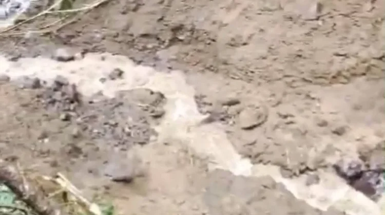 Jalur Tracking Longsor, Seluruh Wisatawan di Wae Rebo Berhasil Dievakuasi
