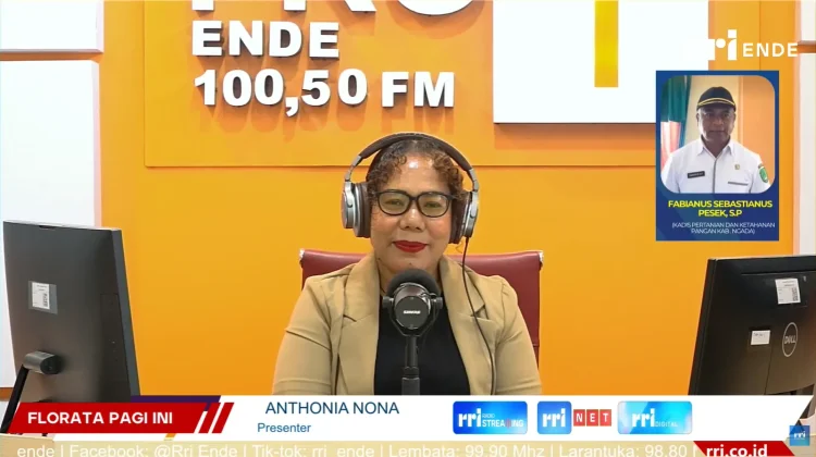 Kementan RI Pantau Program Strategis Pertanian Ngada