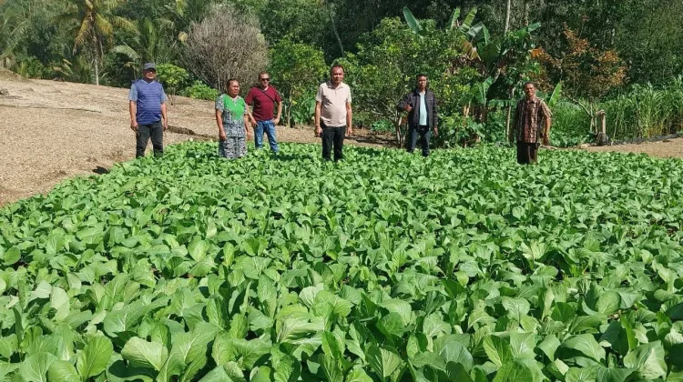 Bupati Doni Dihen Tinjau Lokasi Pelatihan Petani Flores Timur di TTS