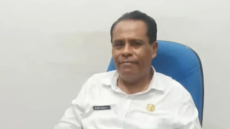 Dinkes Sikka Perkuat Layanan Kesehatan Jiwa, menuju Kabupaten Bebas Pasung