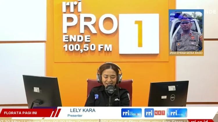 Sempat Lumpuh Total, Jalur Trans-Flores KM 20 dan 21 Ende Kini Kembali Normal