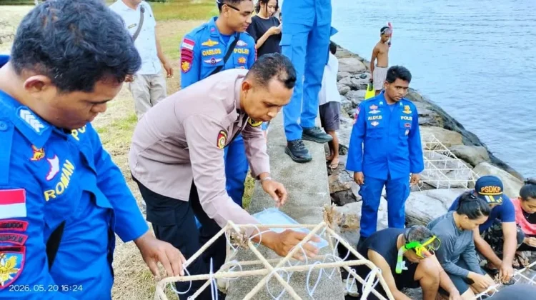 Polisi dan Warga Larantuka Tanam Media Terumbu Karang