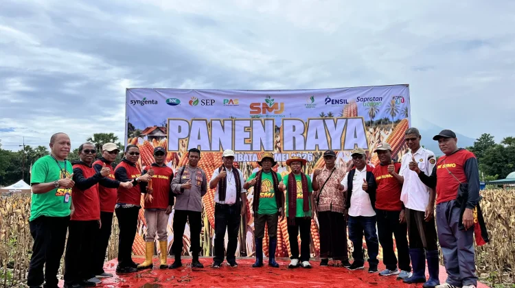 Panen Raya Jagung PT SMJ Dorong Pertanian Produktif di Lembata