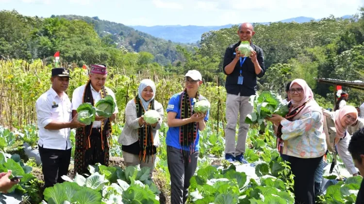 Panen Raya Green Skills Project Dorong Pemberdayaan Petani Muda Manggarai