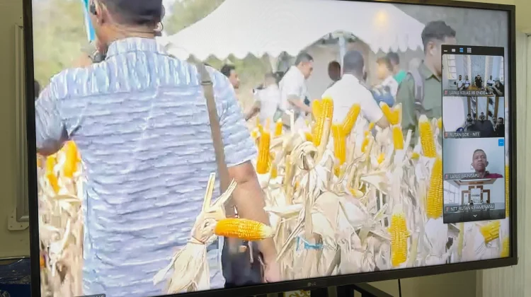 Lapas Ende Fokuskan Pembinaan Produktif Melalui Program Jagung