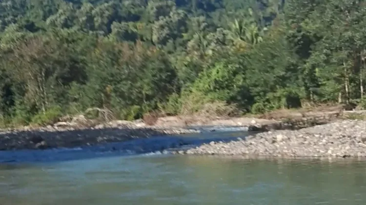 Warga Wewaria Minta Jembatan Lowolaka Dibangun