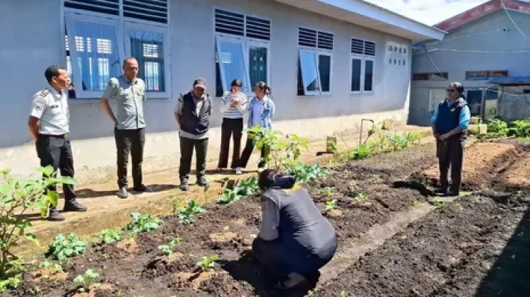 Balai Penyuluh Pertanian dan Rutan Bajawa Kembangkan Pertanian Organik Binaan