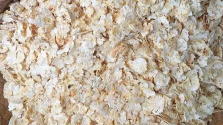 Pemkab Lembata Dorong Hilirisasi Produk Unggulan