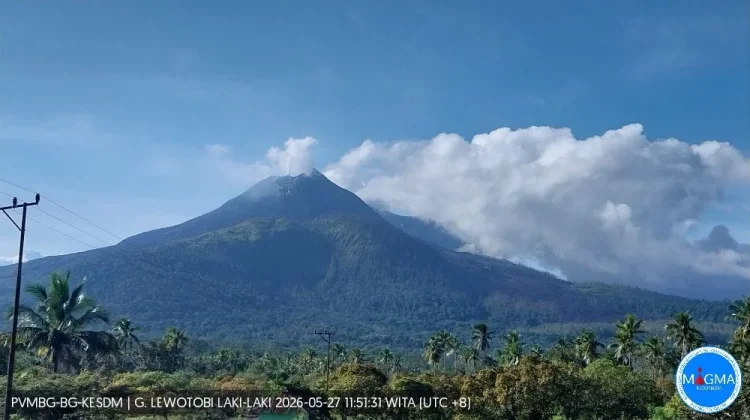 Pantau Aktivitas Magma, PVMBG Deteksi Perubahan Struktur Gunung Lewotobi