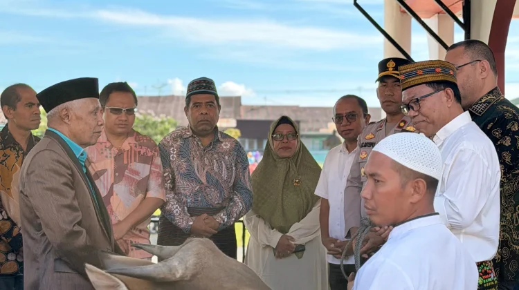 Unika Ruteng Sumbang Seekor Sapi Kurban bagi Umat Islam di Ruteng