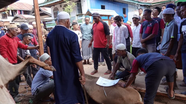 Artha Graha Peduli Salurkan Kurban hingga Pulau Terpencil