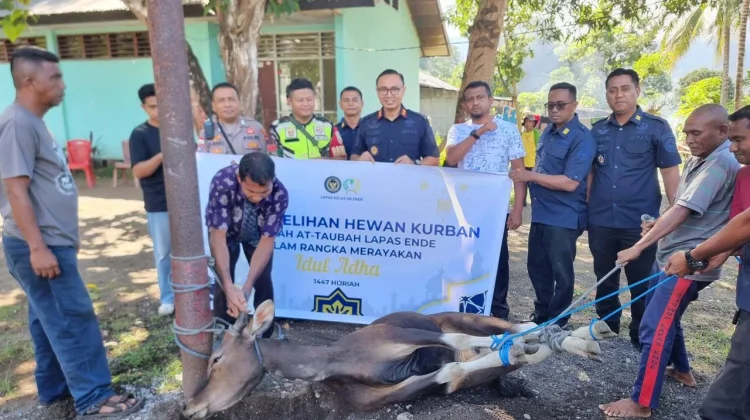 Idul Adha 1447 H, Lapas Ende Tebar Kepedulian lewat Penyembelihan Kurban