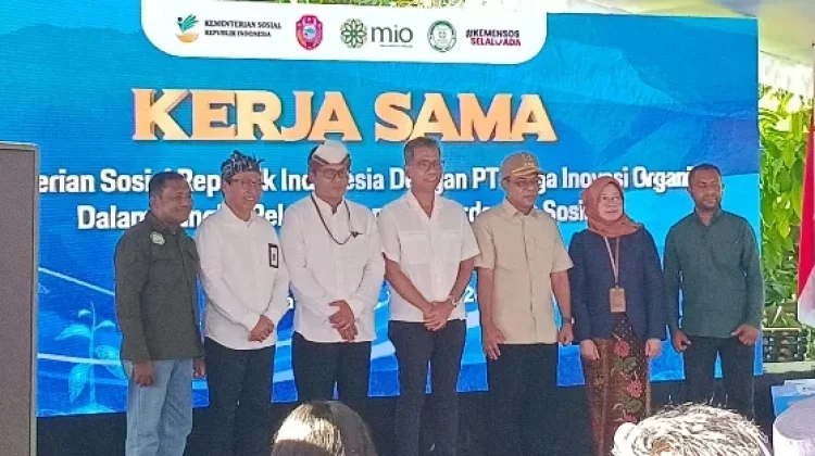 Kemensos Dukung Pengembangan Kakao Fermentasi Petani Nangapenda Berkelanjutan
