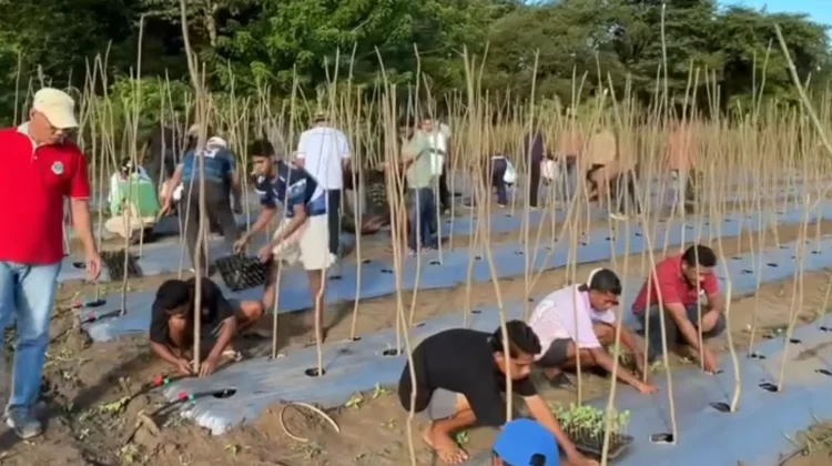 Yayasan Kaya Tene Kembangkan Pertanian Berbasis Pendampingan
