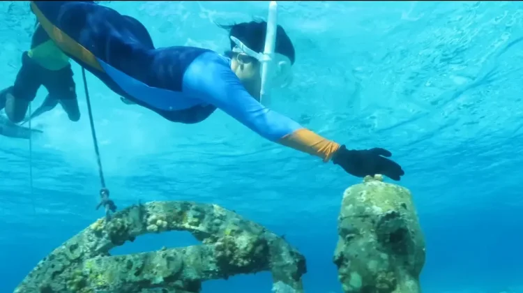 Kampanye Laut Pemana Dorong Wisata Berkelanjutan Sikka