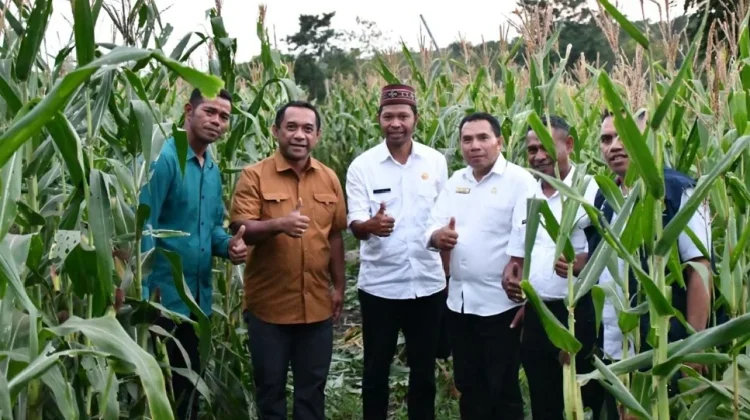 Bupati Manggarai Apresiasi Pengelolaan Lahan Jagung oleh BUMDes Sinar Cale