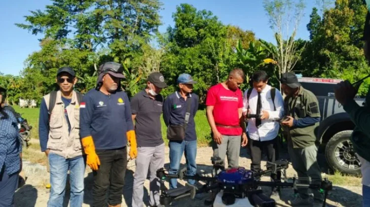 DTPHP Manggarai Barat Gunakan Drone Kendalikan Hama Wereng di Lahan Padi