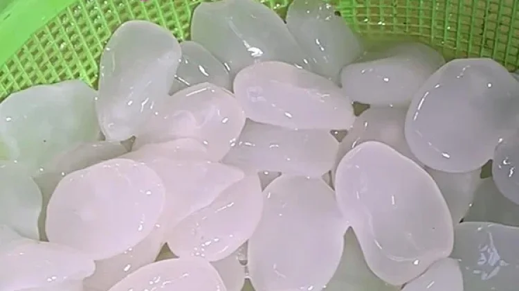 Kolang Kaling, Pangan Tradisional Kaya Manfaat Kesehatan