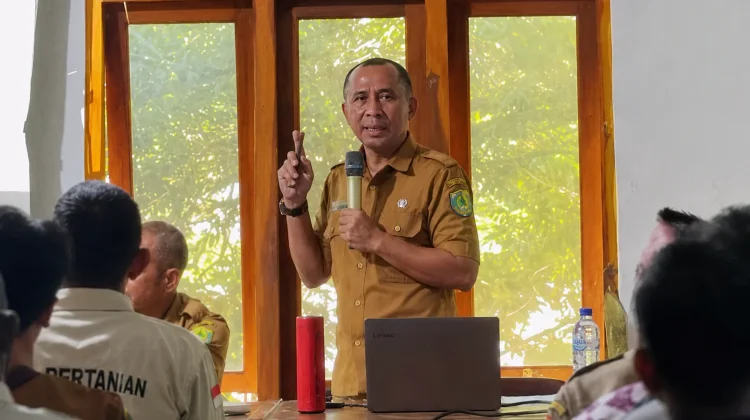 Manggarai Barat Terapkan Drone untuk Kendalikan Hama Wereng Coklat