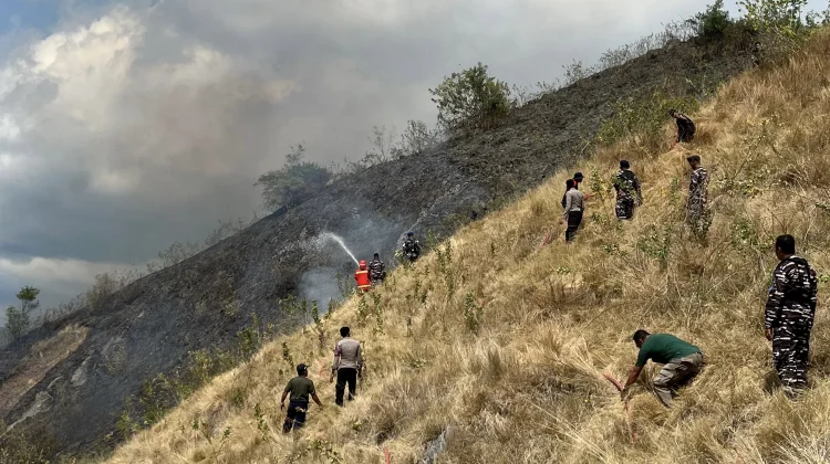 Kebakaran Lahan di Bukit Silvia Hanguskan Sekitar 19 Hektare, Tidak Ada Korban Jiwa