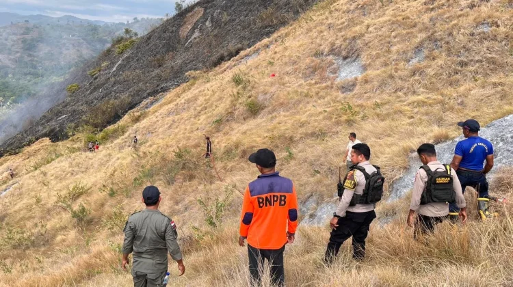 Polisi Duga Puntung Rokok Jadi Penyebab Kebakaran Savana Bukit Silvia