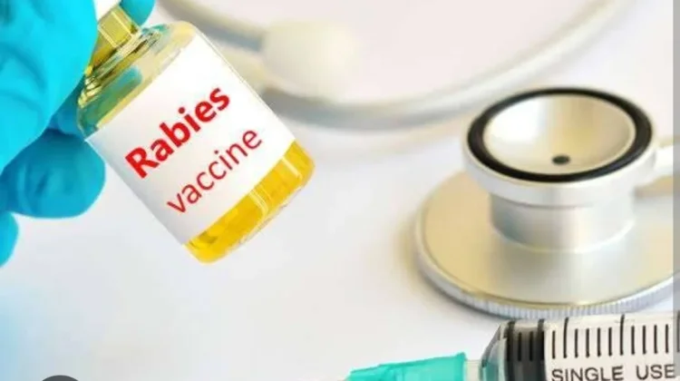 Dinkes Nagekeo: Puskesmas Boawae Masih Miliki 100 Dosis Vaksin Antirabies