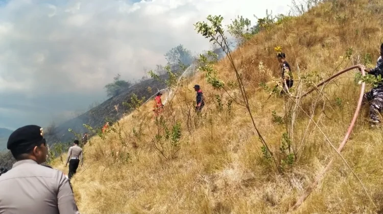 Sinergi TNI-POLRI dan Damkar Jinakkan Kebakaran Savana Bukit Silvia Labuan Bajo
