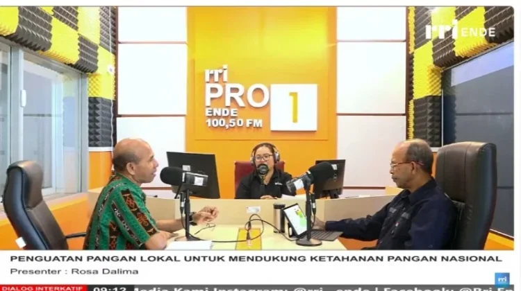 Dinas Ketahanan Pangan Ende Perkuat Pemanfaatan Pangan Lokal