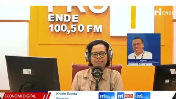 Pendampingan UMKM Perkuat Daya Saing Produk Lokal Melalui Digitalisasi