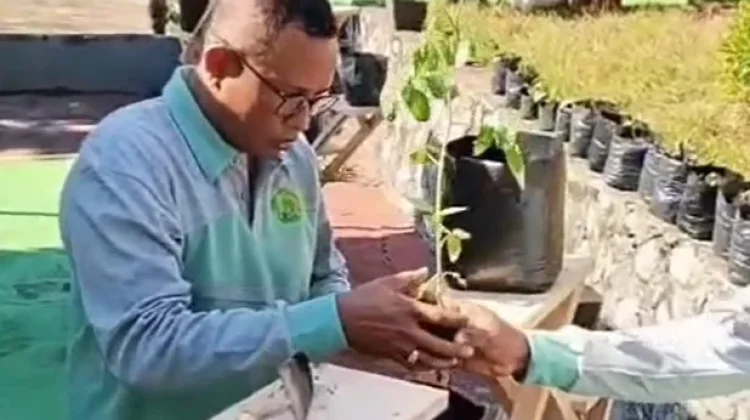Asta Protas 2026 Resmi Diluncurkan, ASN Kemenag Flores Timur Tanam 1.324 Pohon