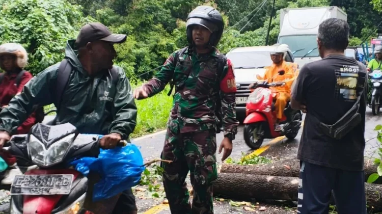 Mitigasi Erupsi Lewotobi, Babinsa Intensifkan Pemantauan Wilayah