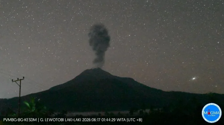Empat Kali Erupsi, Aktivitas Gunung Lewotobi Masih Tinggi