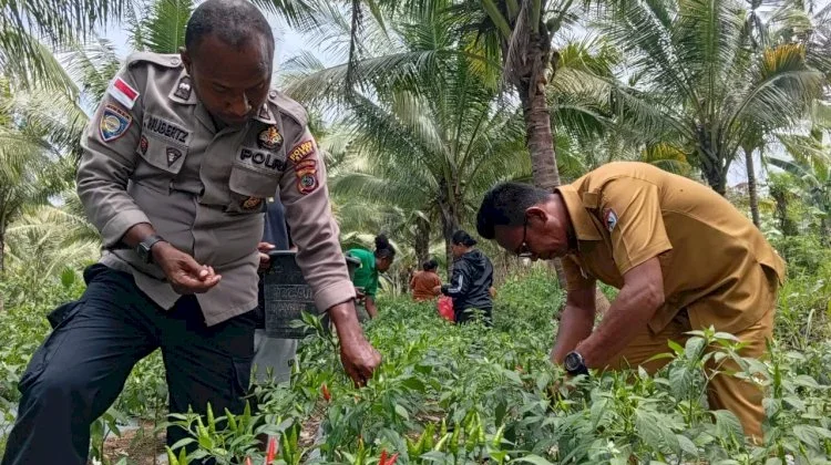 Polres Sikka Dampingi Petani Wujudkan Ketahanan Pangan Nasional