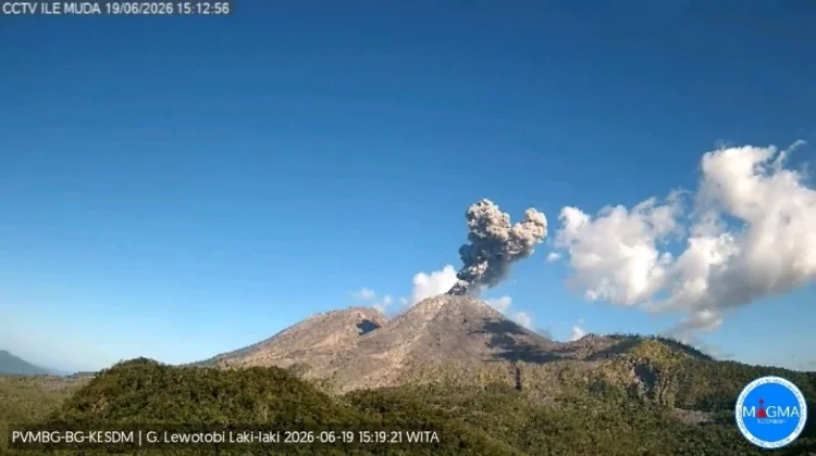 Gunung Lewotobi Laki-Laki Erupsi, Kolom Abu Capai 1.000 Meter