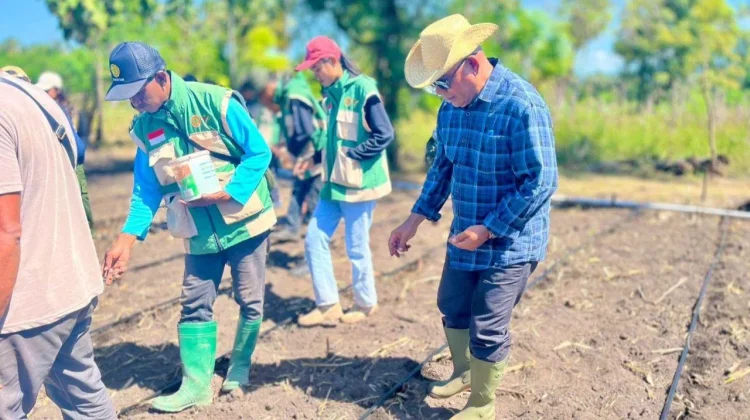 Bupati Kanisius Tuaq Dorong Desa Bean Jadi Sentra Benih