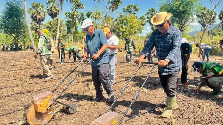 Bupati Lembata Targetkan Desa Bean Jadi Kawasan Pertanian Modern