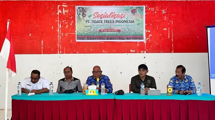 Investasi Jambu Mete Mulai Dijajaki di Lembata