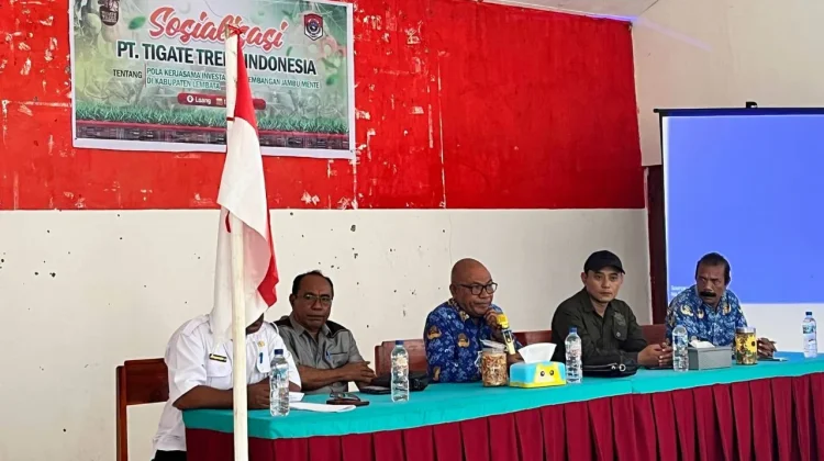 Tim Survei Dibentuk untuk Kaji Investasi Mete di Lembata