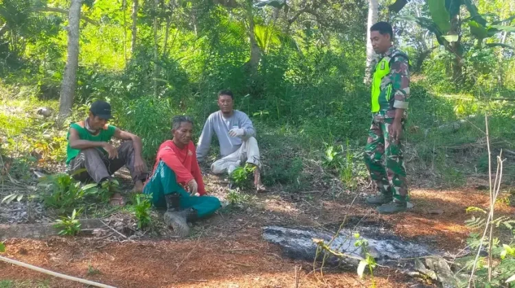 Babinsa Perkuat Komsos dan Pantau Lahan Koperasi