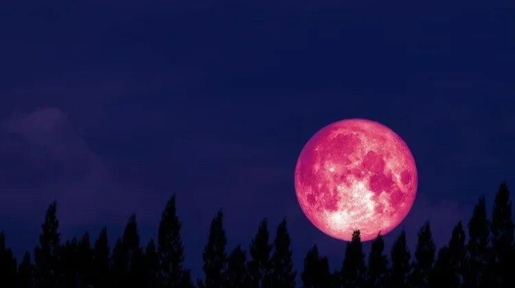 Strawberry Moon Hiasi Langit Indonesia 29-30 Juni, Ini Waktu Terbaik Mengamatinya