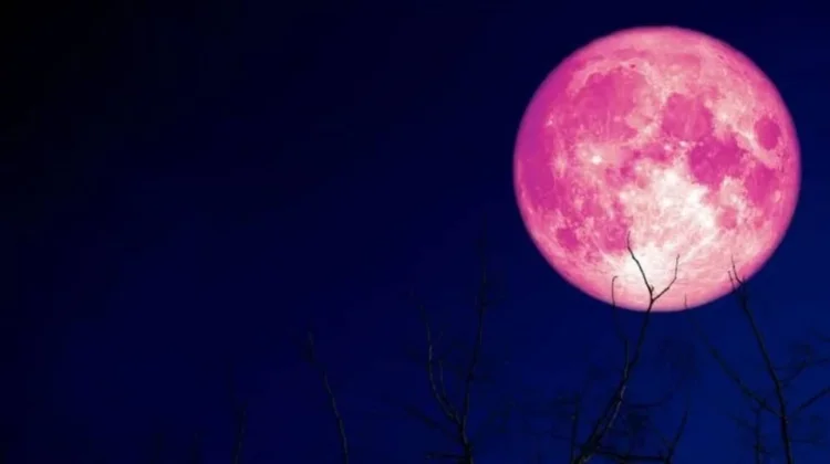 Warga Labuan Bajo Bisa Saksikan Strawberry Moon, Ini Lokasi dan Waktu Terbaik Menga