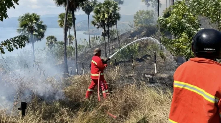 Damkar Manggarai Barat Berhasil Kendalikan Kebakaran Lahan 11 Hektare